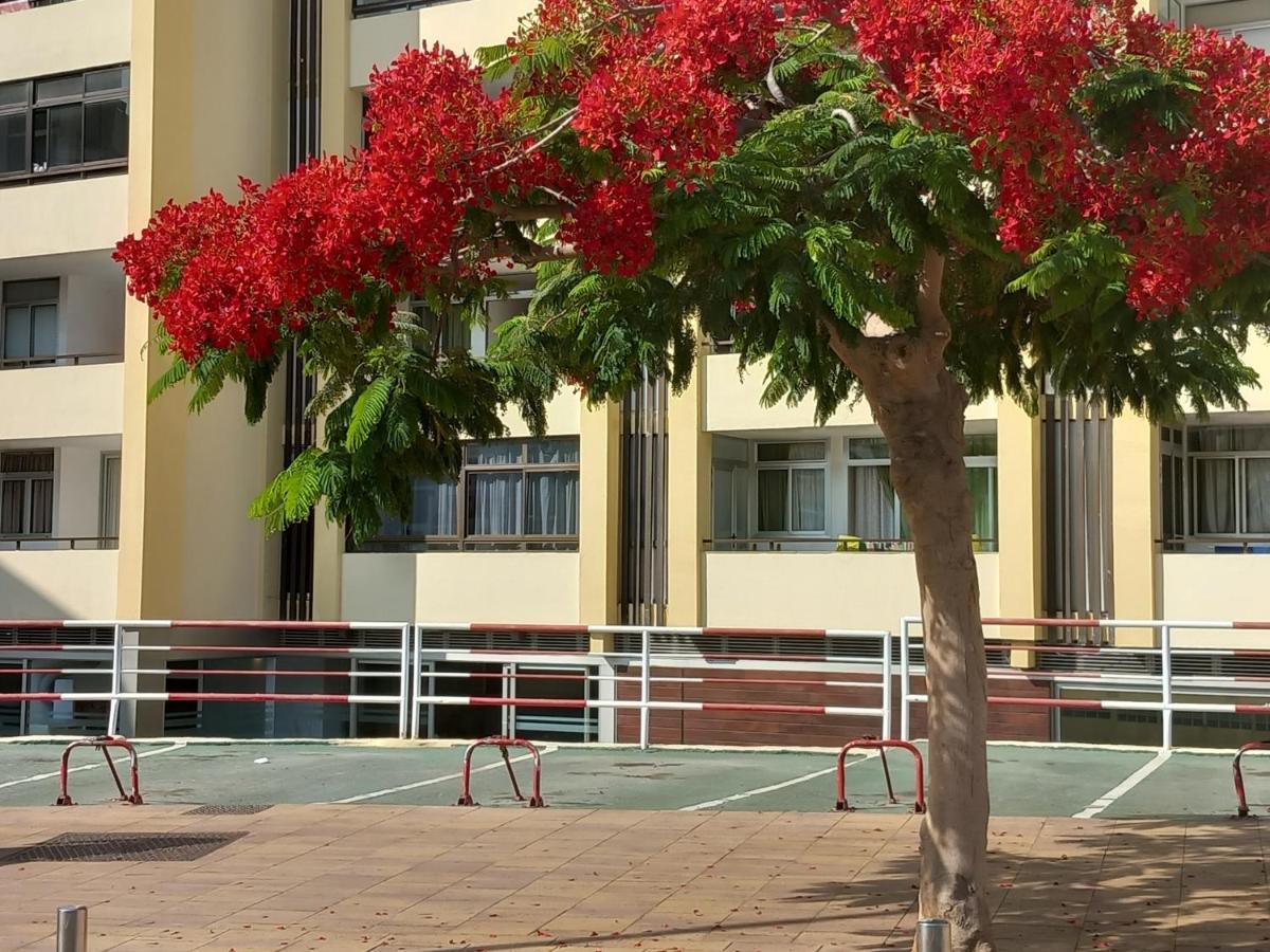 Tropical House Near Beach&Yumbo San Bartolomé المظهر الخارجي الصورة